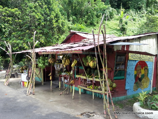 jamaican fruits on roadside