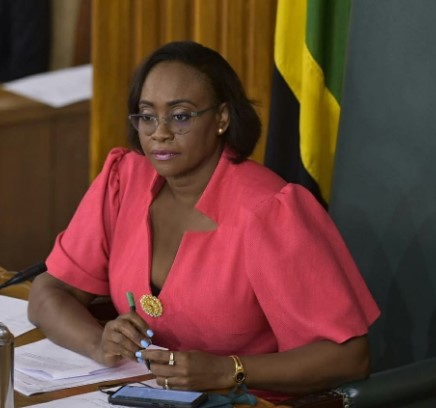 Jamaican Prime Ministers Wives | Juliett Holness