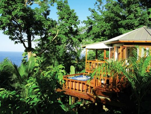 Accommodation In Portland | Kanopi House