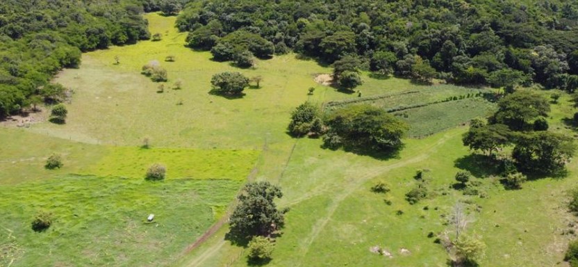 Land Surveyor In Jamaica | (Photo: locatorzone.com)
