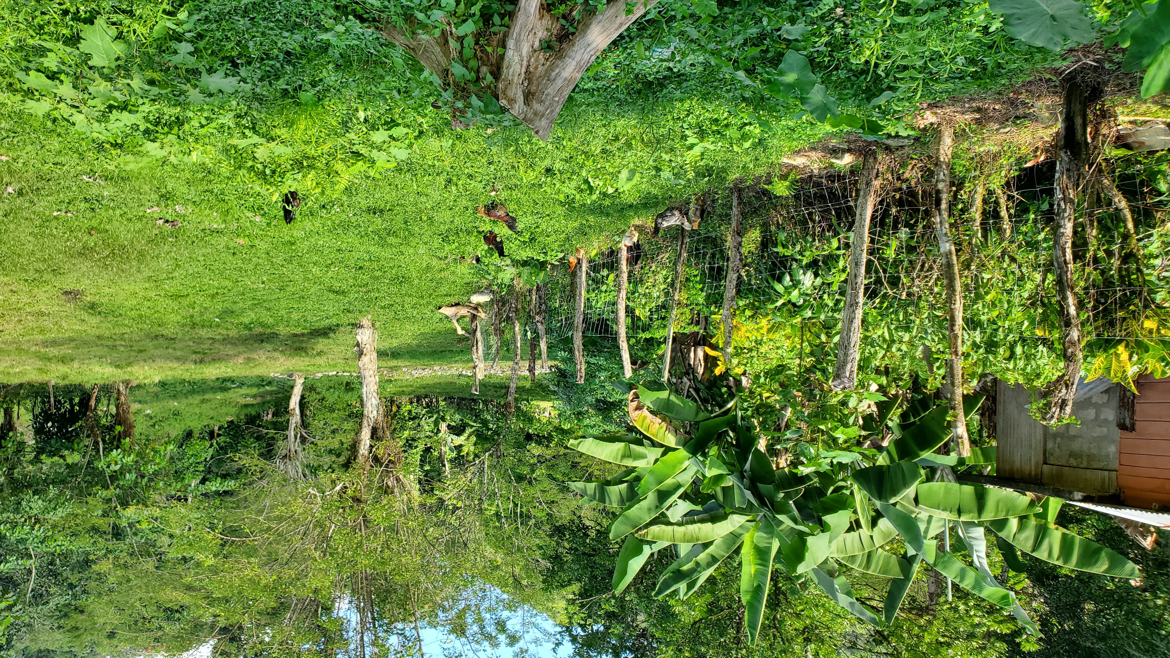 rural living in jamaica land
