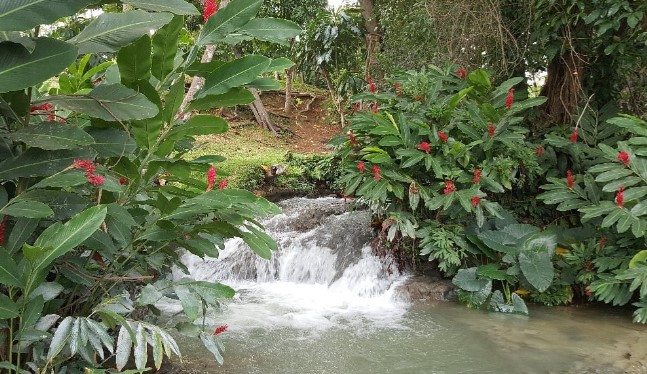 laughing_waters_tripadvisor