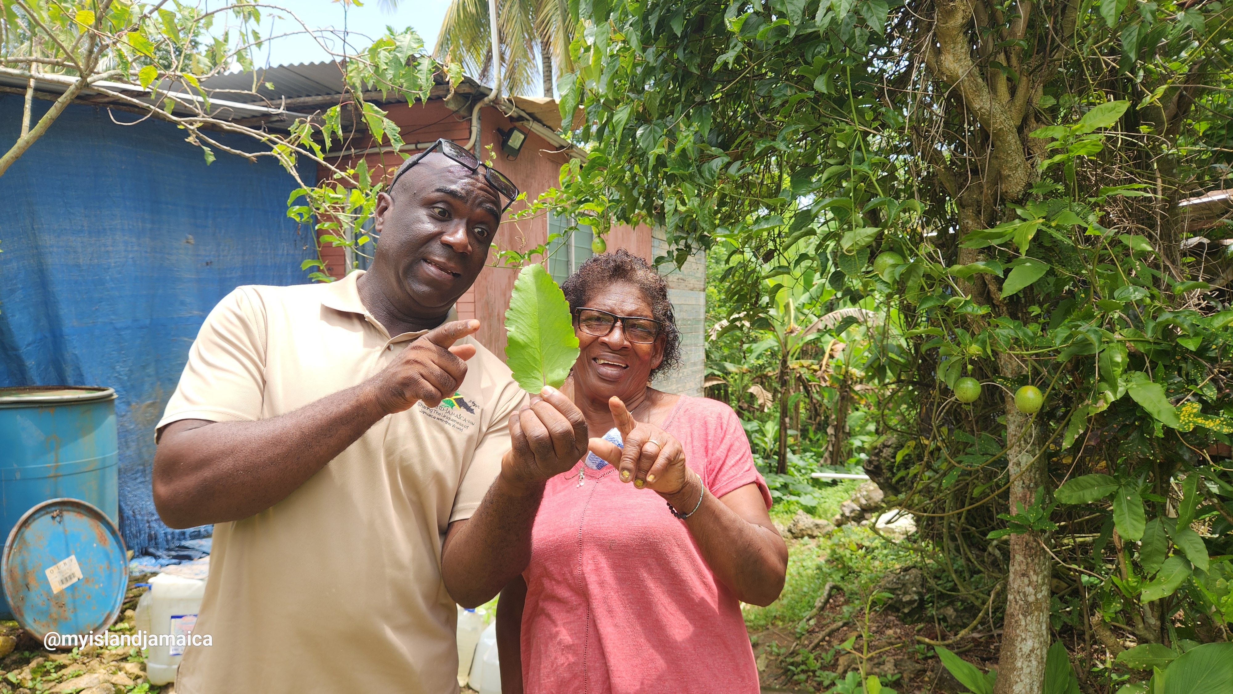 Leaf of Life with Herbalist