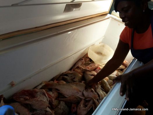 little_ochie_jamaica_selecting_the_fish