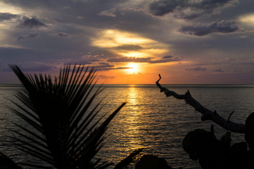 luna_sea_inn_sunsets