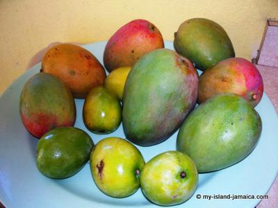 Types of Jamaican Mangoes