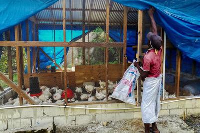 Photo: Peace Corps Jamaica Facebook