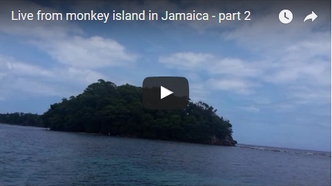 monkey island in jamaica - video