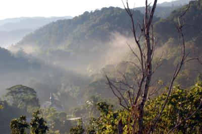 Stewart Town's Early Morning Mist