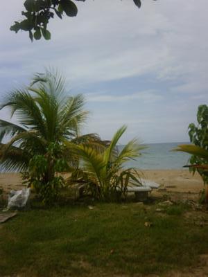 Murphy Hill, Jamaica