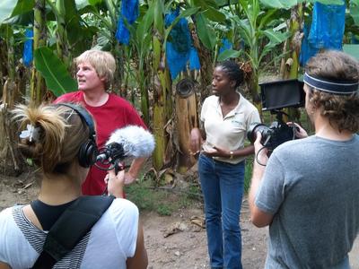 at the banana plantation