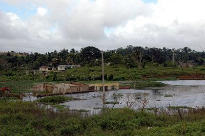Part of Moneague Lake in Jamaica (2007)