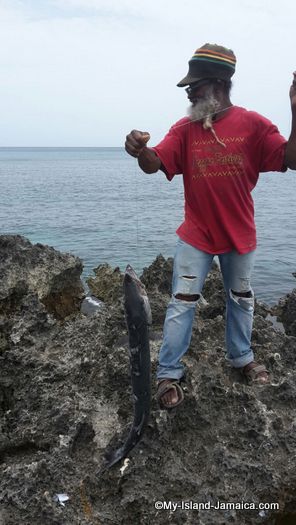 negril_jamaica_resorts_the_spa_retreat_hotel_fisherman_with_barracuda