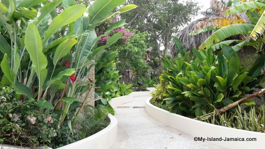 negril_jamaica_resorts_the_spa_retreat_hotel_green