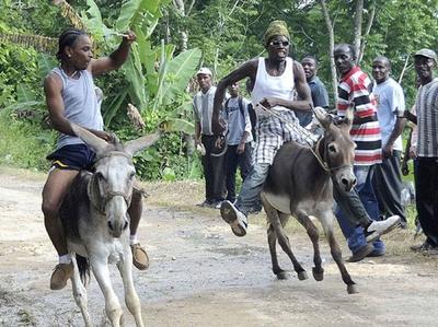 negrils-donkey-races-and-fun-day-2013-21699243_fun_jamaica