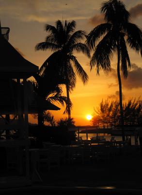 Jamaican Postcard Picture?