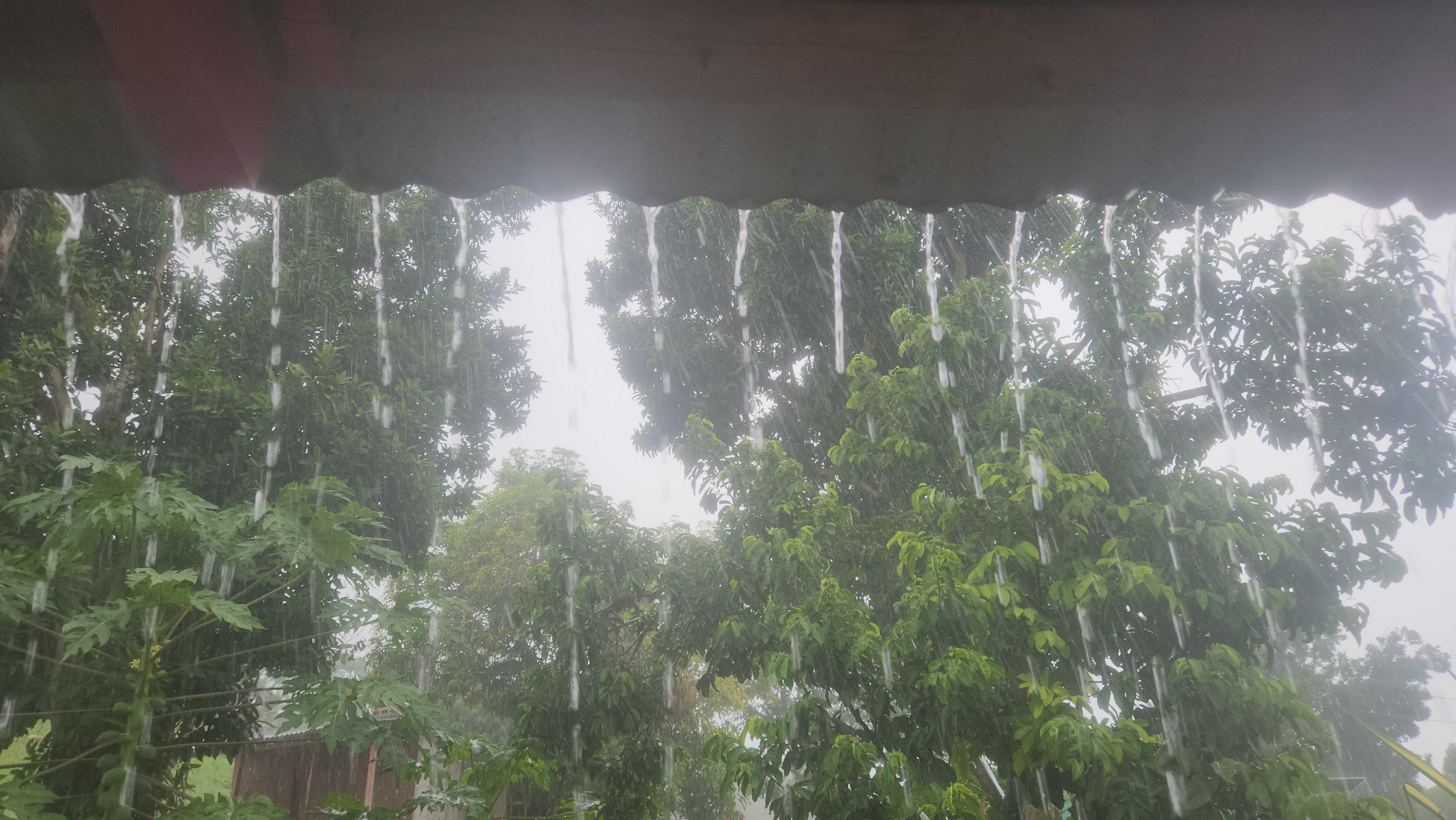 rainy season in jamaica