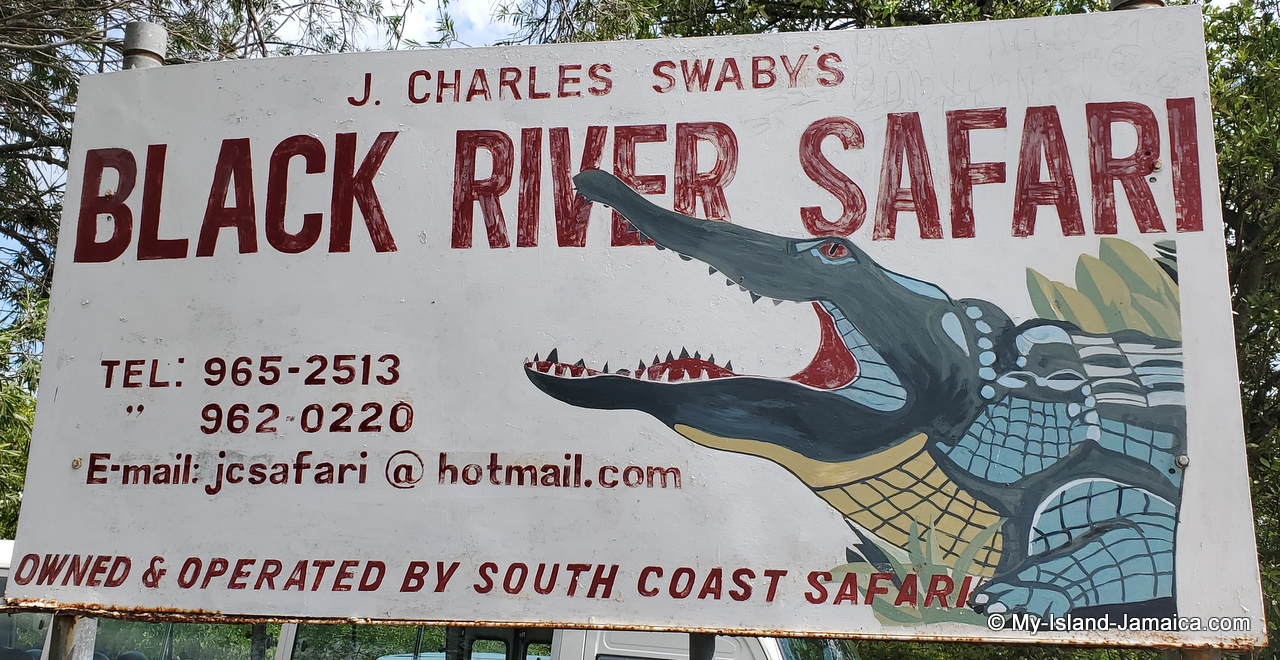 black river safari attraction in jamaica