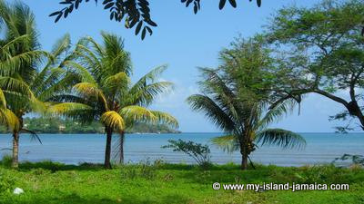 East Harbour, Port Antonio - Portland