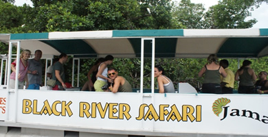 Black River Safari Tour