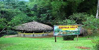 MayField's Falls Tour