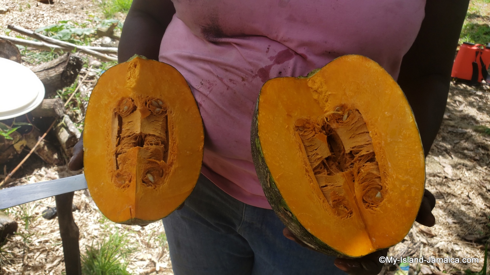 pumpkin_farmer_lorna