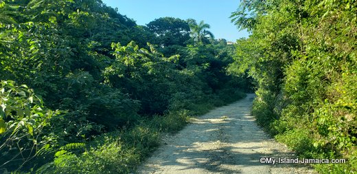 rastafari_indigenous_village_journey_in