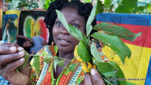 rastafari_indigenous_village_queen