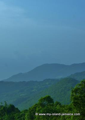 The beautiful Jamaica Blue Mountains