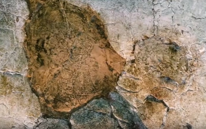 roaring_river_cave_in_jamaica_natural_animal_formations