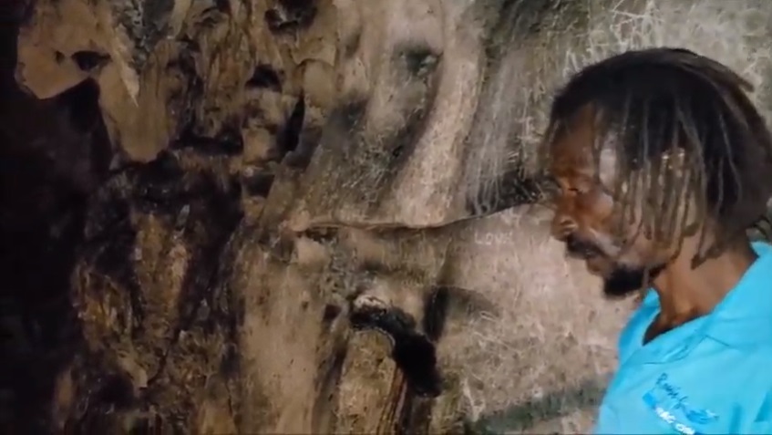 roaring_river_cave_in_jamaica_robert