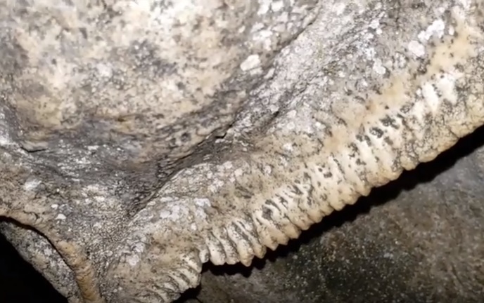 jagged, shark teeth shaped rocks in the roaring river cave
