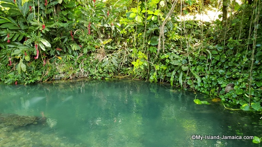 roaring_river_jamaica_3_springs_source