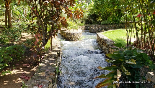 The stream flowing at Roaring River Attraction in Westmoreland Jamaica