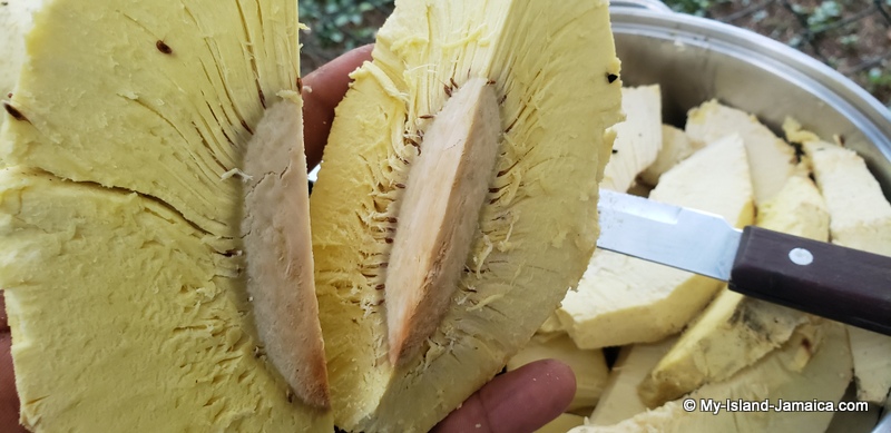 roasted breadfruit in jamaica