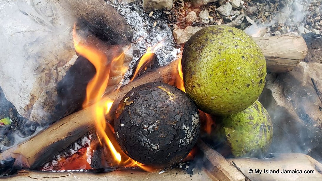 roasting_breadfruit_jamaican roasting_breadfruit_jamaican