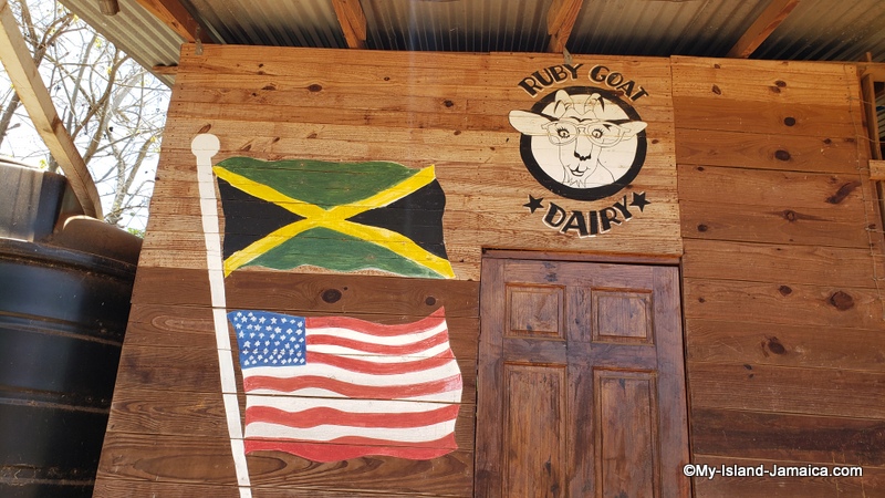 rubys_goat_farm_jamaica