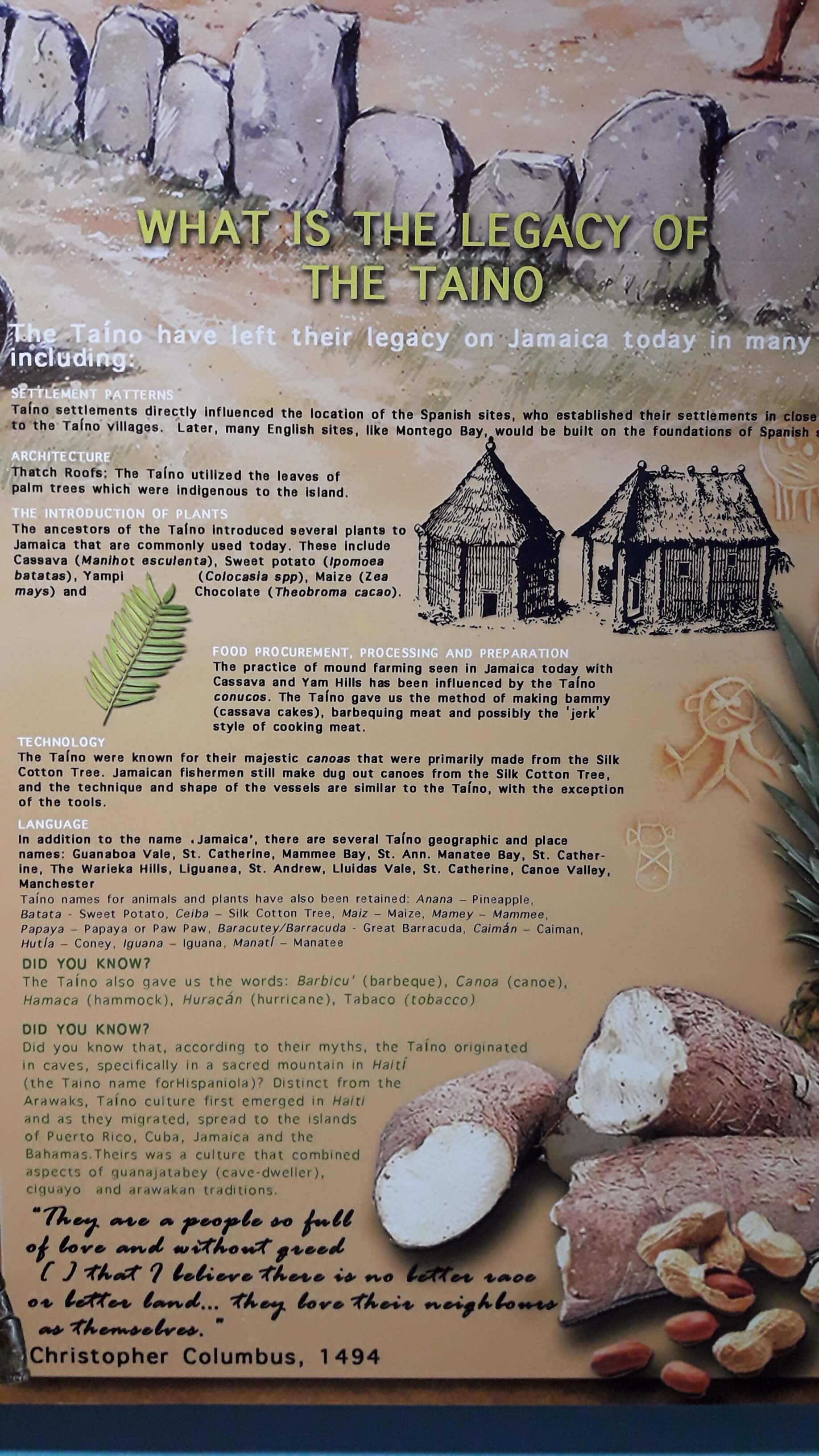 tainos_arawaks_contribution_to_jamaica