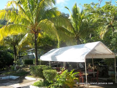 Tapioca Village Jamaica