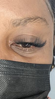 Close-up of Medium length Fusion Classic Lashes