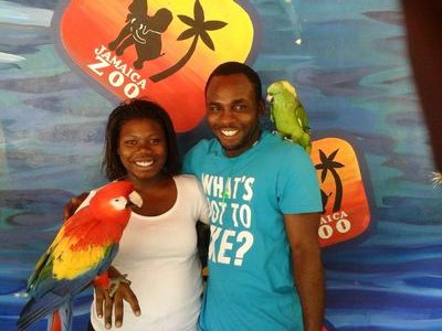 At Jamaica Zoo