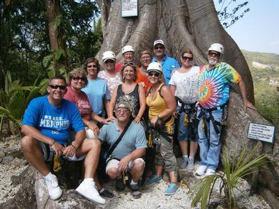Jamaican Tree of Life