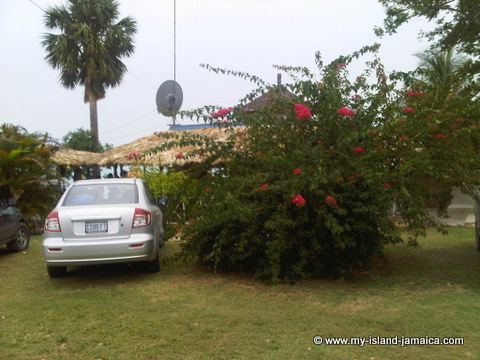 the_bar_grill_whitehouse