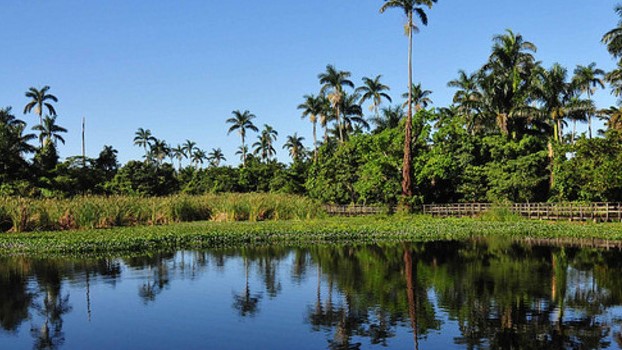 Biodiversity In Negril | The Royal Palm Reserve (closed) | (Photo: embark.org)