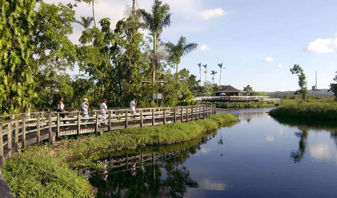 Biodiversity In Negril | The Royal Palm Reserve (Closed) | (Photo: exclusivetravel.com)