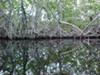 <b> <font color=red>Photo Contest Entry #1</font></b><br>Black River Reflection