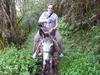 Riding Donkey In Jamaica To Blue Mountain Peak