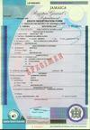 Jamaican Birth Certificate - Specimen