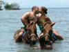 Jamaica HorseRiding in Water