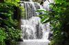Kaleechi Falls - Photo By Bonita Jamaica